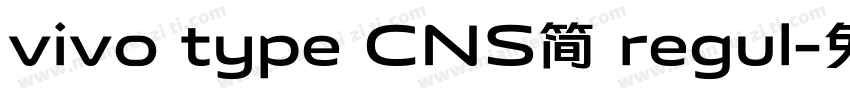 vivo type CNS简 regul字体转换